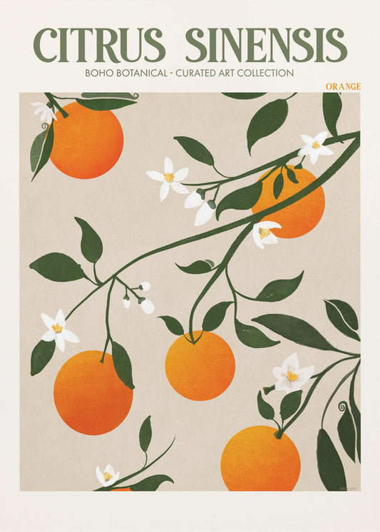 Orange Elegance | Poster