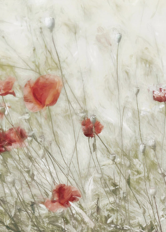 Corn Rose | Poster