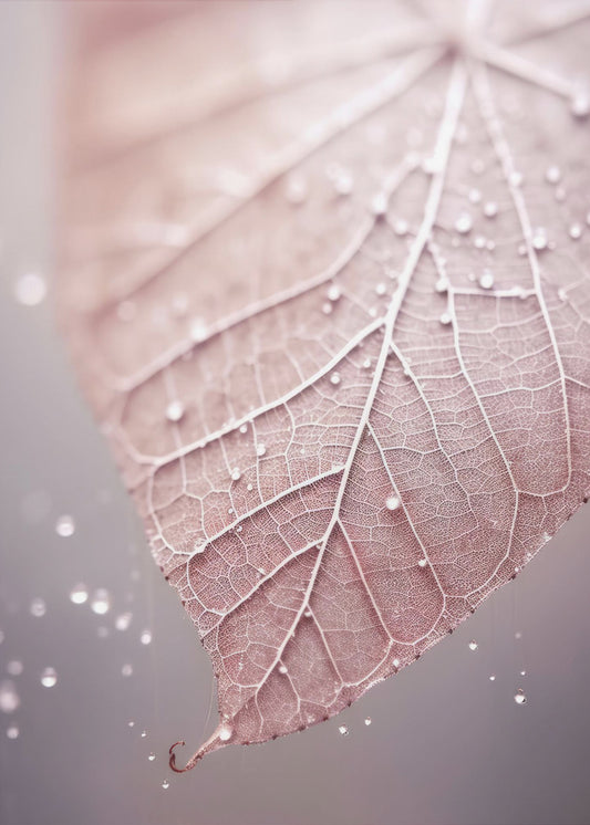 Veins of Serenity | Poster