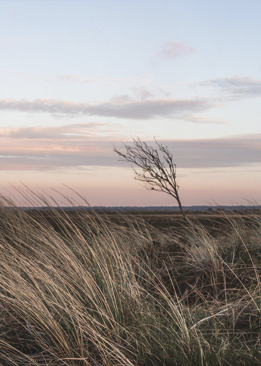Aan de kust 4 | Canvas