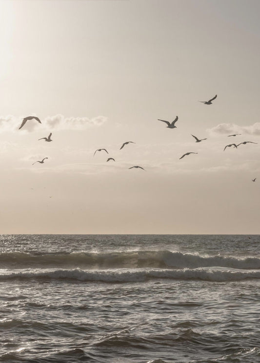 Vogels en de zee 3 | Poster