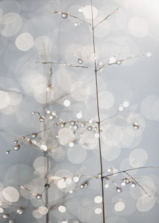 Natuurlijke schittering | Canvas