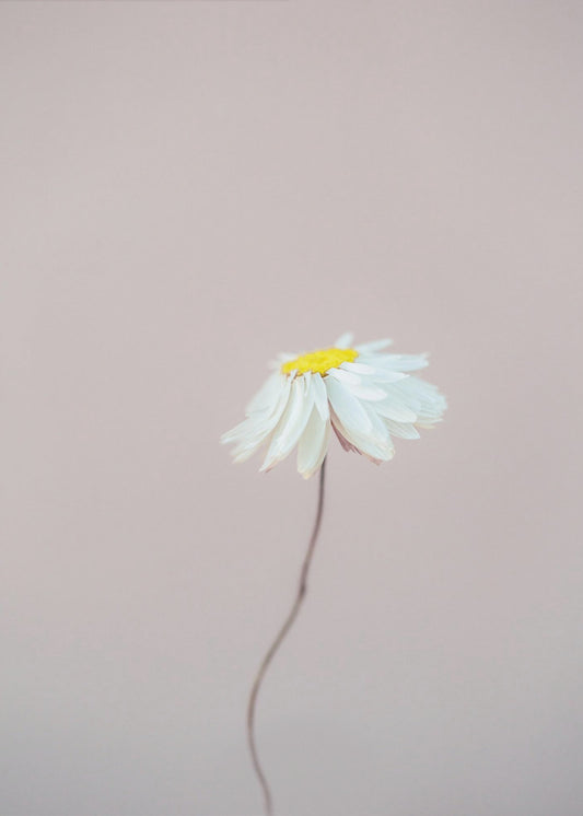 Fragile 1 | Poster