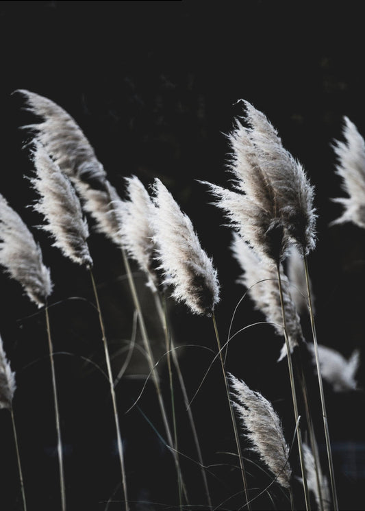 Grass 4 | Poster