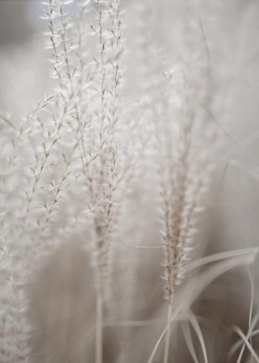 Grass 18 | Poster