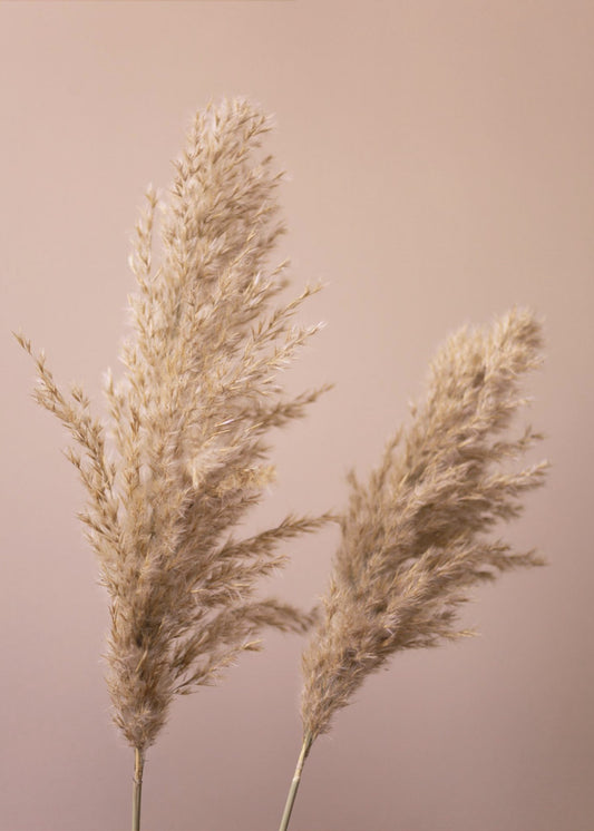Grass 22 | Canvas