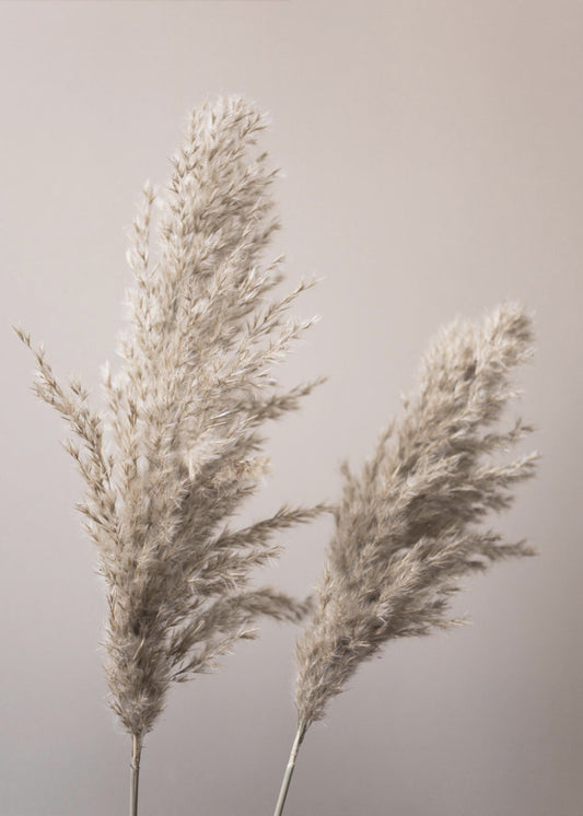 Grass 22X | Canvas