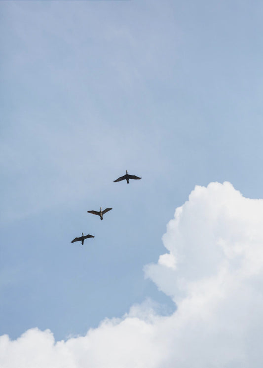 Flying Home | Canvas