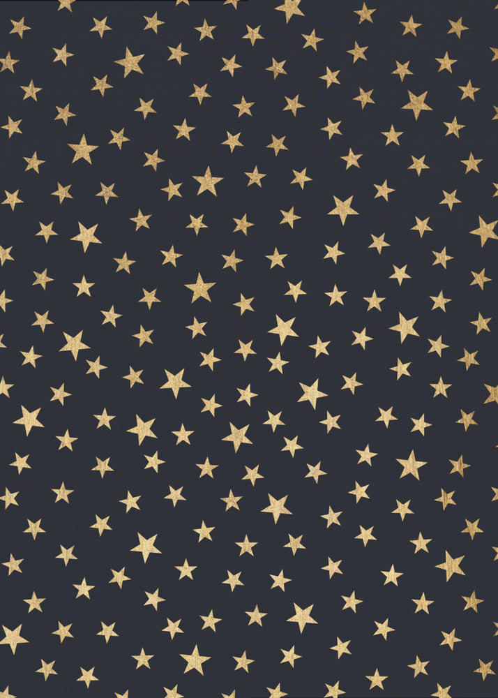 Stardust At Midnight | Canvas