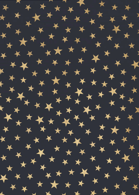 Stardust At Midnight | Canvas