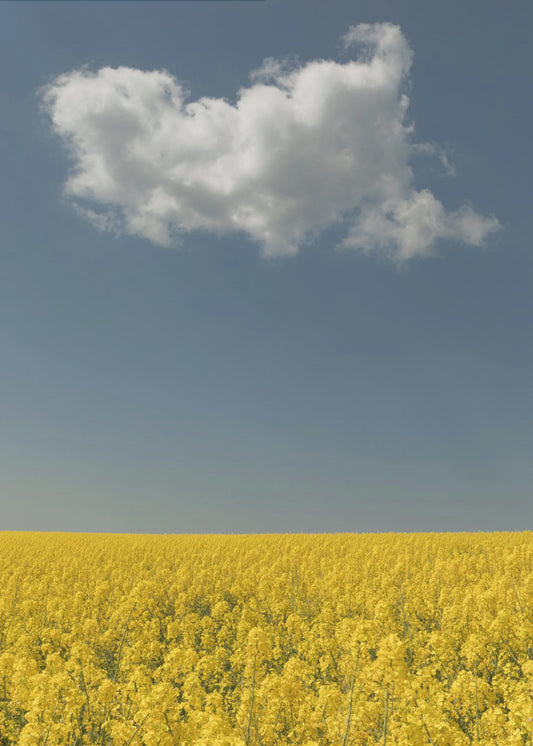 Visie | Canvas