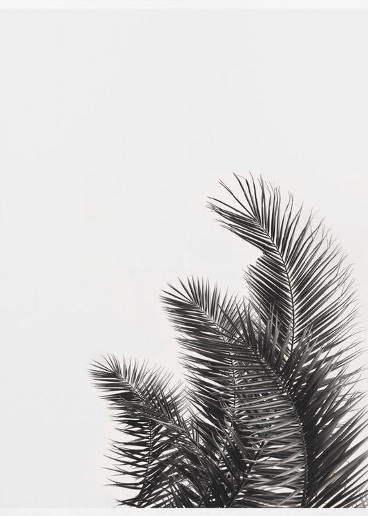 Palm Whisper | Poster