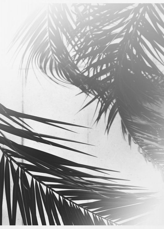 Palmsilhouetten | Canvas