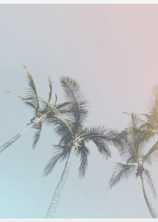 Pastel Palms Bliss | Poster