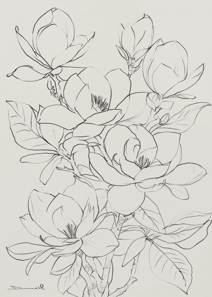 Magnoliaboom | Canvas