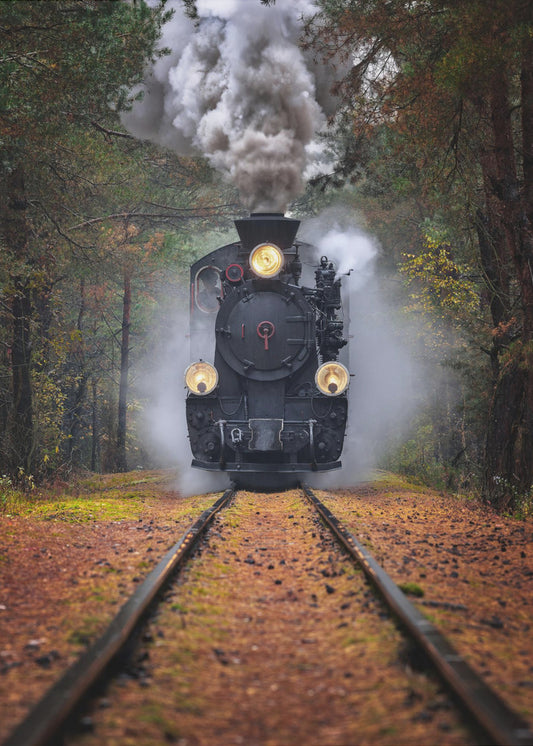Door het herfstbos | Canvas