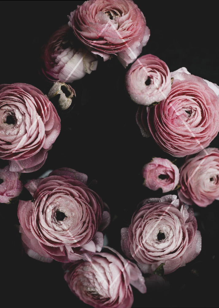 Blooming Geometry 1 | Poster
