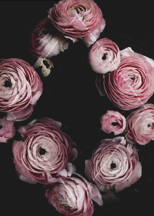 Blooming Geometry 1 | Poster