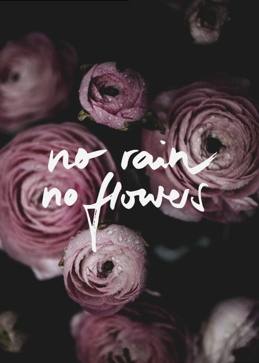 No Rain No Flowers 2 | Poster