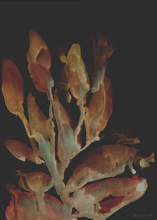 Nachtplant | Canvas