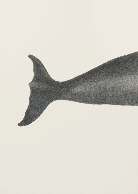 Whale Tight Crop I Handcolored Sealife Lithograph 1824 | Poster