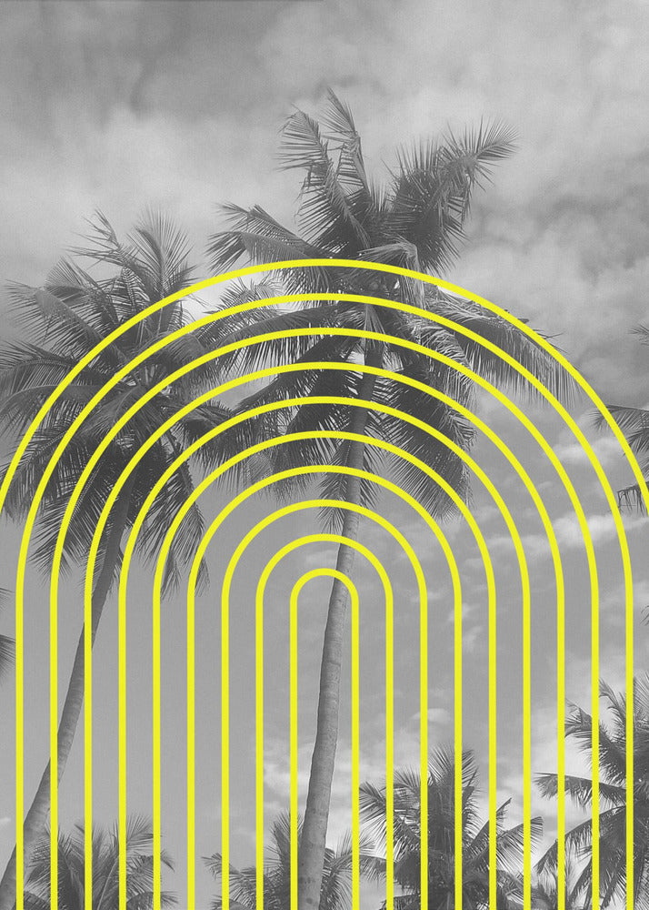 Tropische echo's | Poster