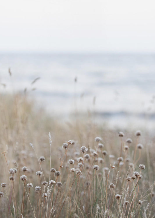 Coast Landscapes 4 | Poster