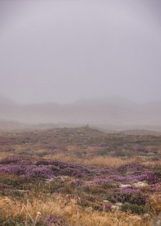 Duinen 1 | Canvas
