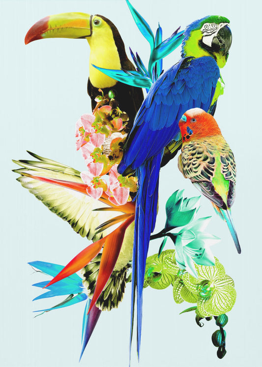 Paradijsvogels II | Poster