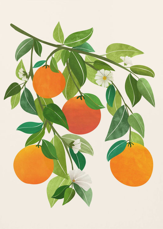Sinaasappels en bloesems II | Poster