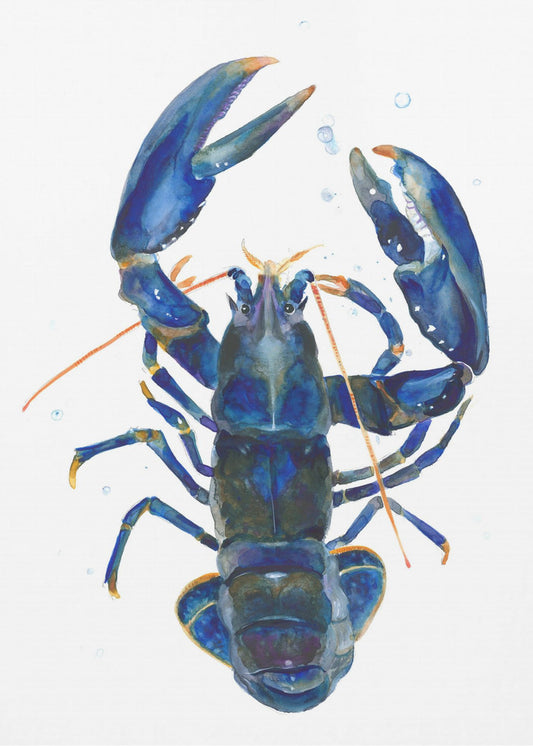 Een blauwe kreeft | Canvas