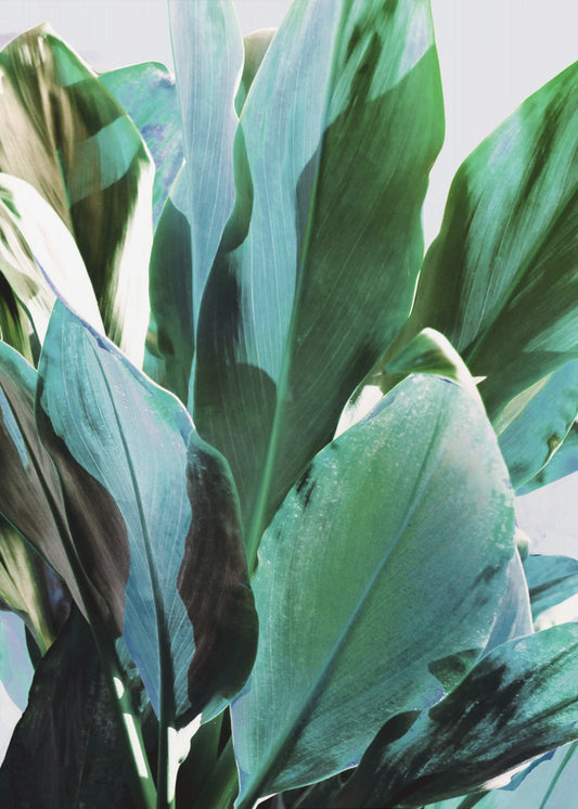 Groene bladeren I | Canvas