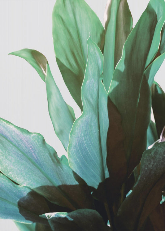 Groene bladeren | Canvas