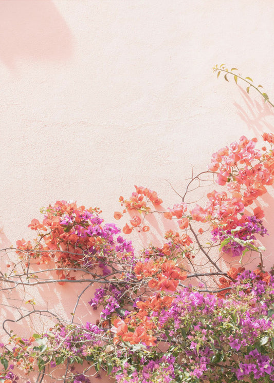 Roze Zomer | Canvas
