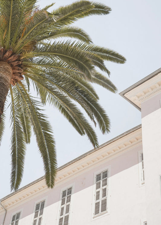 Tropisch Menton | Canvas