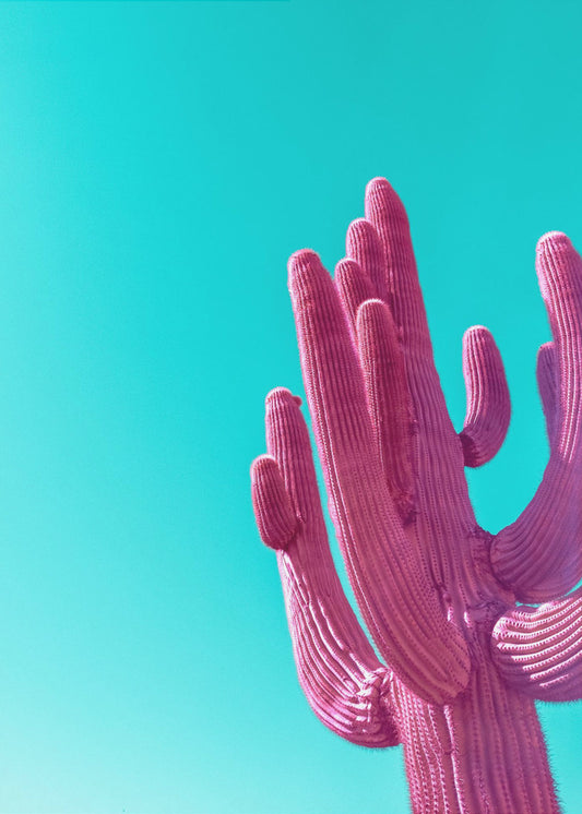 Magenta Roze Saguaro | Canvas