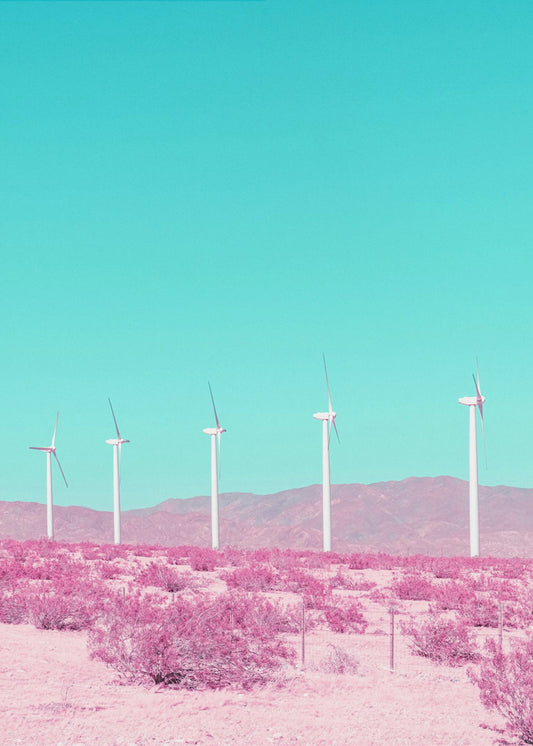 Palm Springs Windmolens in de woestijn | Canvas