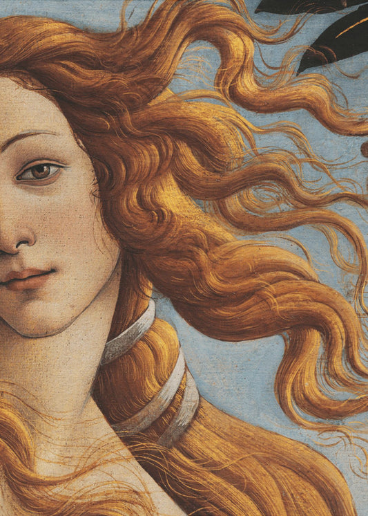 De geboorte van Venus door Sandro Botticelli | Canvas