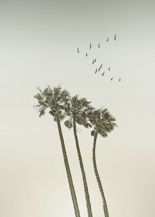 Vintage minimalistische palmbomen en zonsondergang | Poster