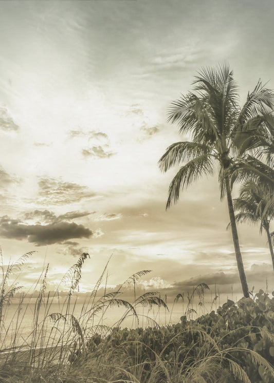 BONITA BEACH Vintage Zonsondergang | Poster