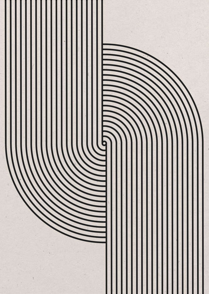 Curved Symmetry | Canvas