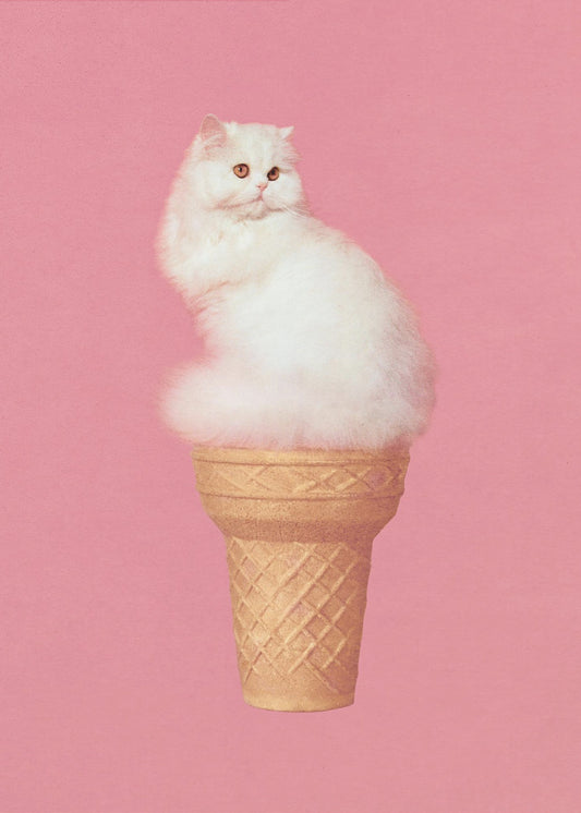 Kattenijsje - Roze | Canvas