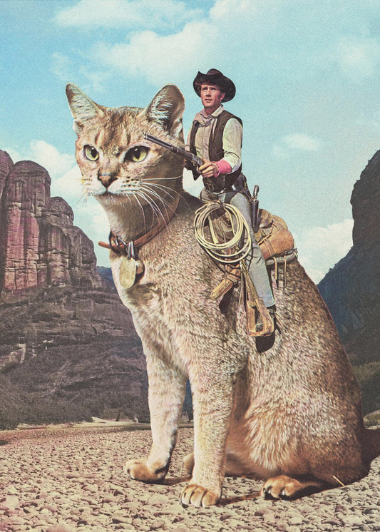 Kat Lone Ranger | Poster