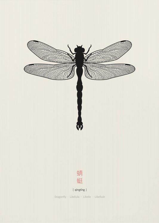 Dragonfly | Poster