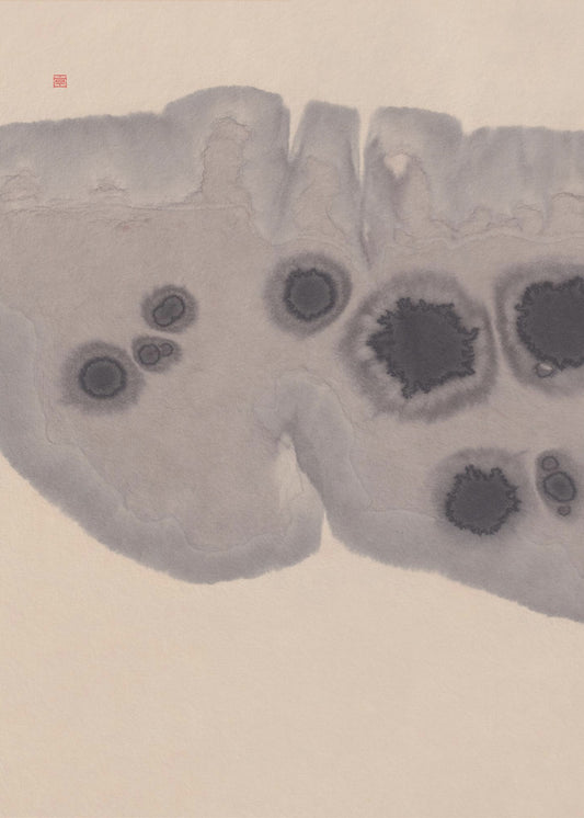 Study N°7 | Epidermis | Poster