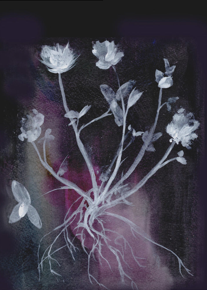 Geheime Tuin II | Poster