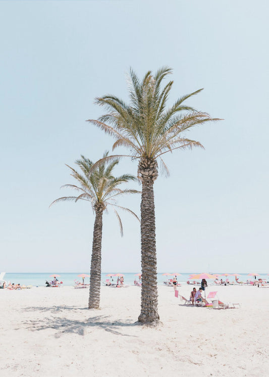 Palmboom op het strand | Canvas