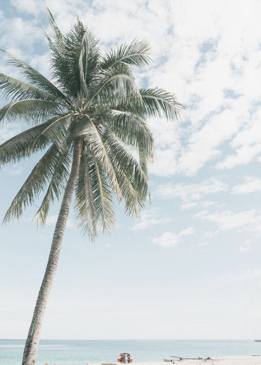 Palmboom op het strand 2 | Canvas