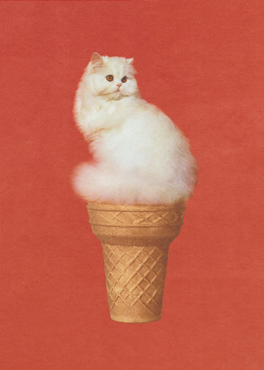 Kattenijs Rood | Canvas
