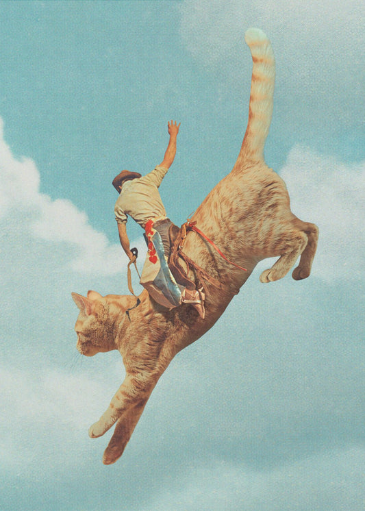 Meehaw Rodio Kat | Canvas